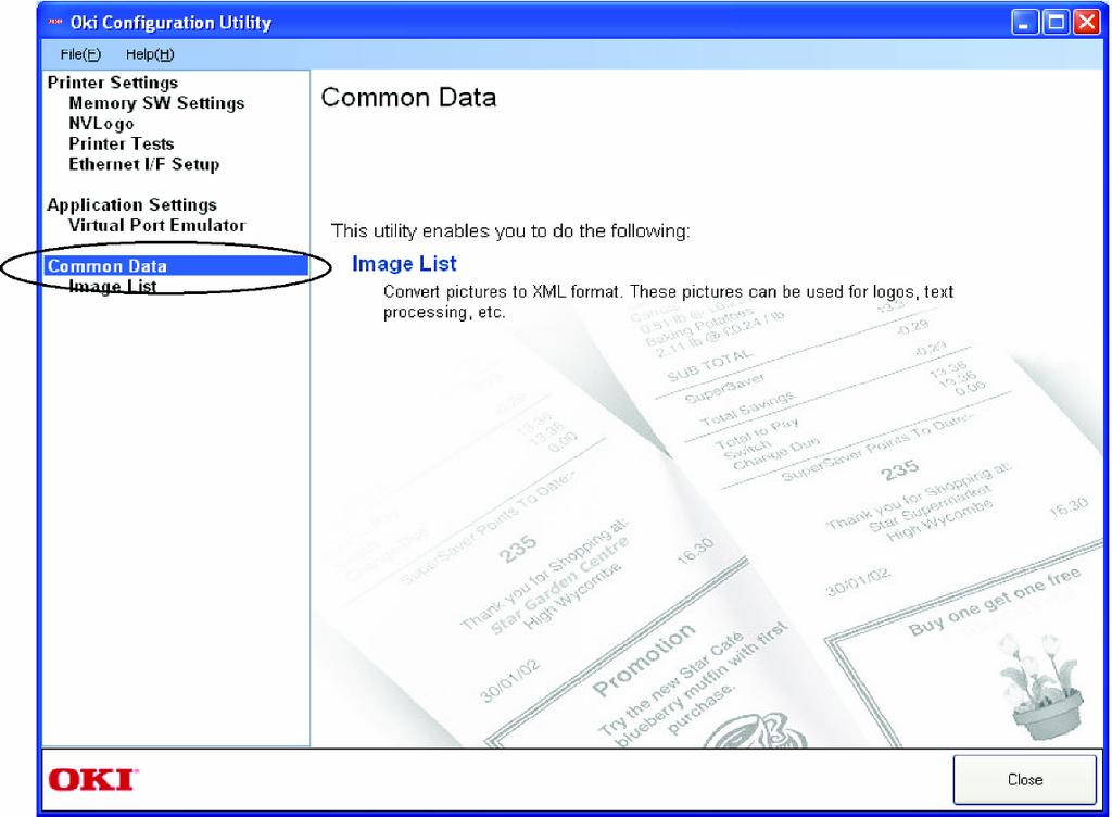 4.3 Common Data (Dados comuns) É possível registrar