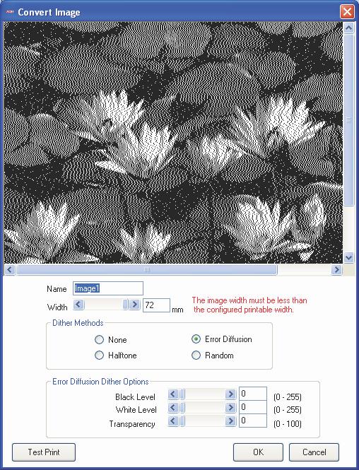 3. A caixa de diálogo Convert Image (Converter imagem) exibida a seguir aparecerá. Os dados podem ser ajustados aqui. Digite um nome para registrar no campo Name (Nome).