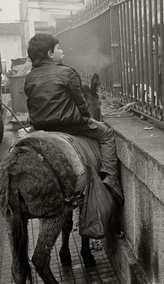 20 EXPOSIÇÕES CENTRO DE FOTOGRAFIA GEORGES DUSSAUD A NORTE DO NORTE TRÁS-OS-MONTES NA DÉCADA DE 1980 [19 de outubro de 2018 a 30 de setembro de 2019] A presente exposição reúne não só um número