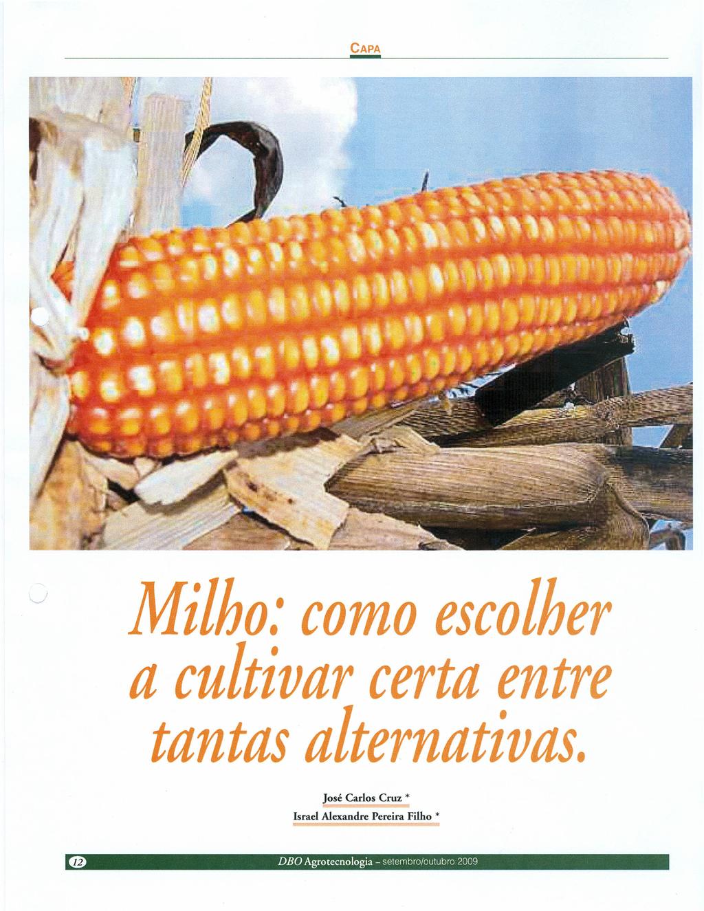 Milho.' como escolher a cultivar certa entre tantas alternativas.