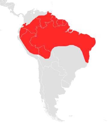2 178 espécies com distribuição na Amazônia, Cerrado, Mata Atlântica, Pantanal, Pampas gaúchos e também em áreas urbanas (NOGUEIRA et al., 2014).