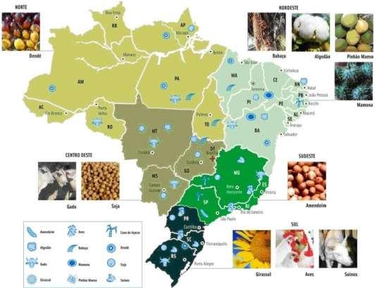 Figura 1.3 : Matérias-primas mais adequadas para produção de biodisel por região (ESTEVES & PEREIRA, 2015).