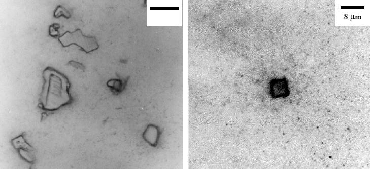 10 µm 14 (a) (b) Figura 2.