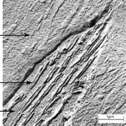 18 Martensita Cementita Ferrita 1µm Figura 2.