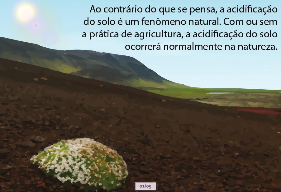 1. Apresentação do Tema Procure despertar o interesse da turma apresentando o tema de forma contextualizada, de modo que eles possam estabelecer relações entre os conteúdos abordados e o cotidiano