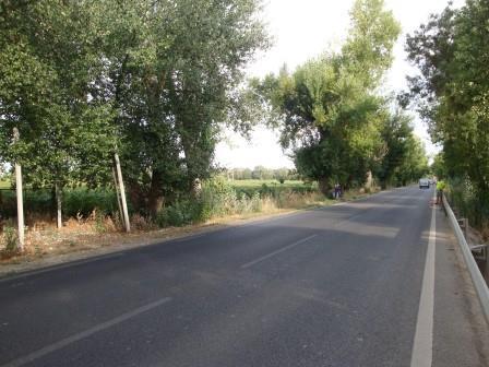 LOCALIZAÇÃO dos km 15º, 16º, 17º e 18º 15º km Na Estrada Nacional 114, 45,50m antes do contador elétrico que se encontra colocado no poste