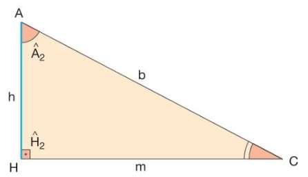 3ª RELAÇÃO: Da 1ª relação métrica, temos que b 2 = am e c 2 = an.