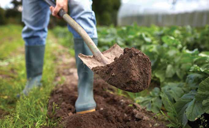 SISTEMA FARSUL CONTEÚDO ESPECIAL SHUTTERSTOCK Política agrícola não interessa à agricultura ANTÔNIO DA LUZ Economista-chefe da Federação da Agricultura do Estado do Rio Grande do Sul/Sistema Nacional