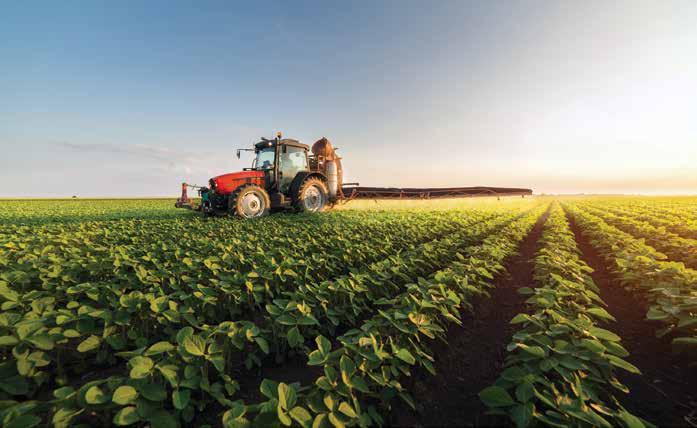 SHUTTERSTOCK SISTEMA FARSUL CONTEÚDO ESPECIAL Conclusões e propostas A política agrícola brasileira surgiu em um contexto muito específico, de escassez de produtos, dificuldade de abastecimento da