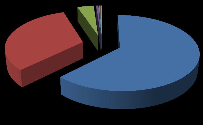 14; 4% 2; 1; 1% 1; 0% 113; 32% 218; 63% BD Aplicacional SO Armazenamento Backups Documentação Aqui verifica-se que as áreas de atuação mais significativas foram as de Base de Dados e Aplicacional