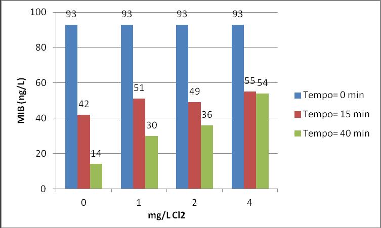 Figura 2: Concentração de MIB na água bruta com o CAP (20mg/L) da marca CALGON em função da dosagem de cloro aplicado para diferentes tempos de contato Figura 3: Concentração de MIB na água bruta com