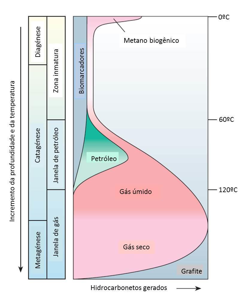 11 Geração de hidrocarbonetos: Os hidrocarbonetos são gerados a partir da transformação termoquímica da matéria orgânica contida na rocha geradora.