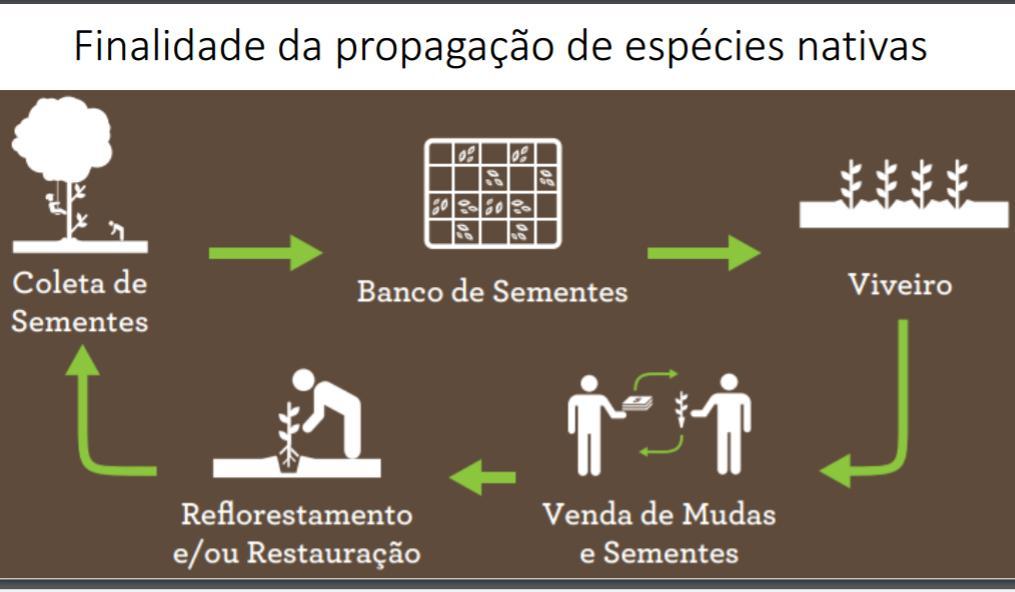 Produção