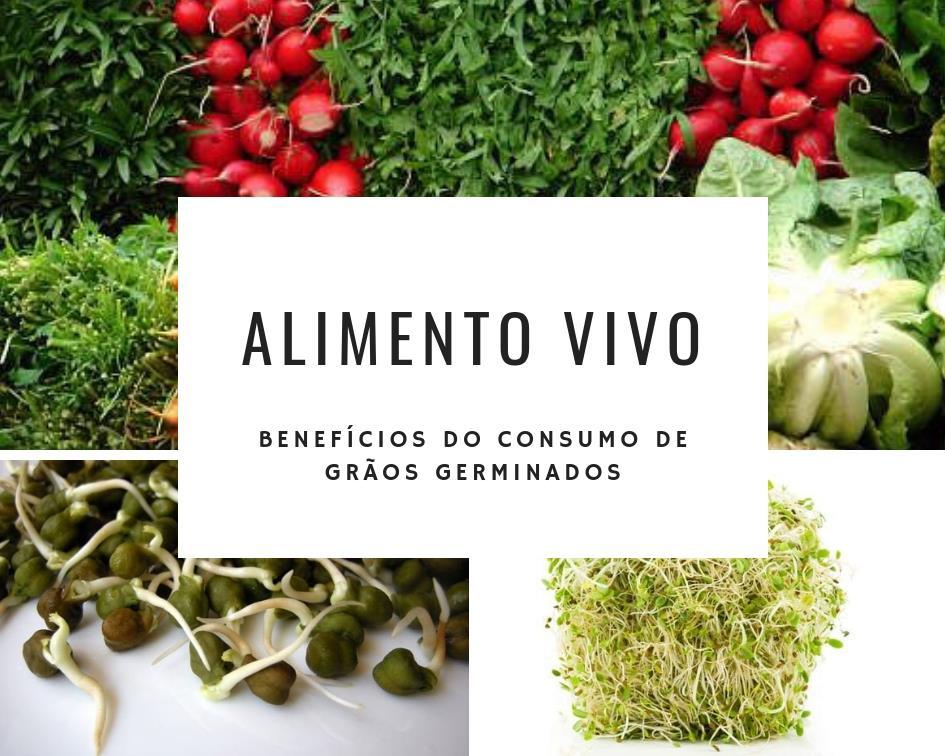 Alimento vivo Benefícios do consumo de grãos