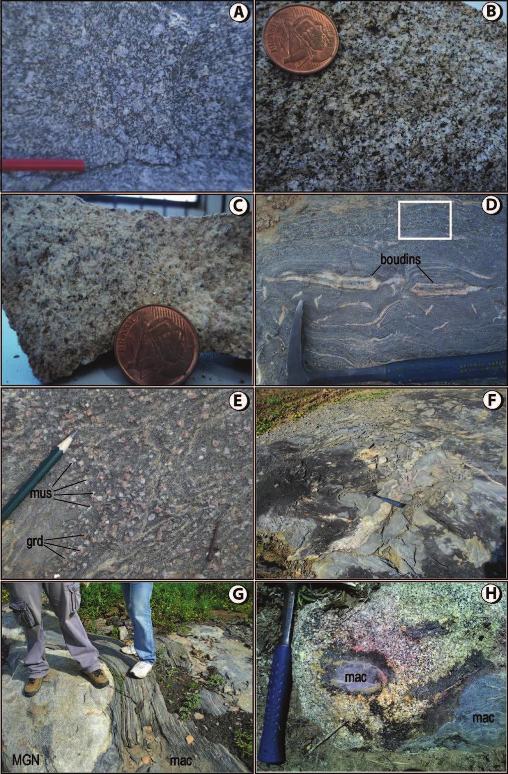 Figura 6. Aspectos de campo das rochas encontradas na região. Textura representativa da Fácies MP.