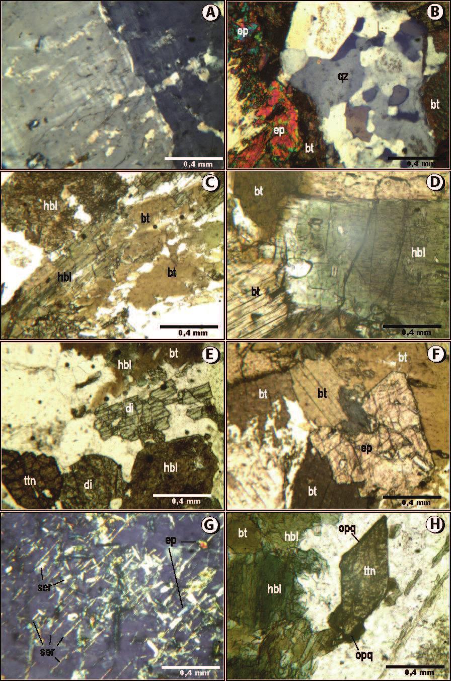 Fotomicrografia 3. Texturas observadas em rochas da Fácies Porfirítica. Cristal de feldspato alcalino exibindo geminações segundo as leis Carlsbad e Albita-Periclina.