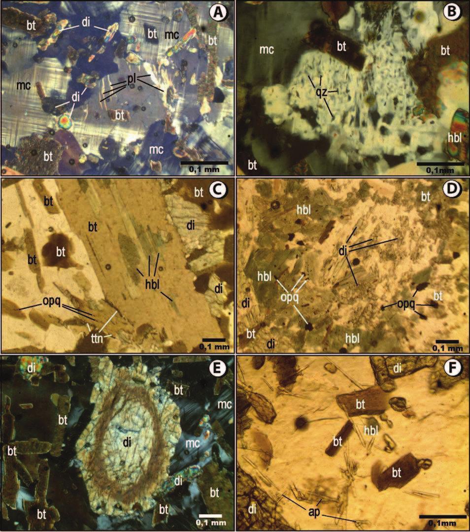 Fotomicrografia 10. Texturas presentes nos minettes. Textura pertítica em cristal de microclina. Notar ainda a presença de inclusões, principalmente, de cristais de biotita [A].
