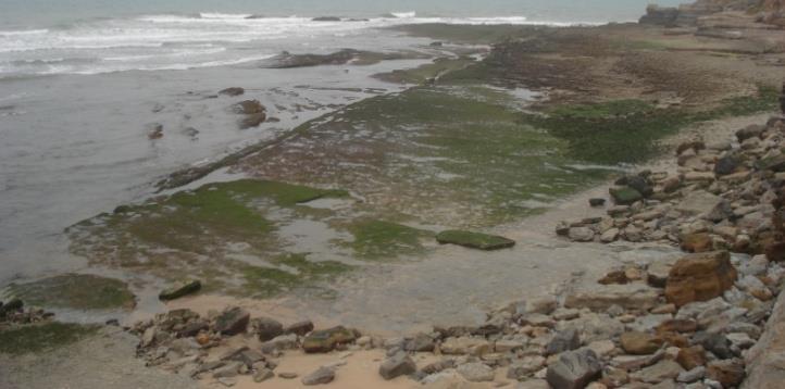 A margem corresponde a uma faixa de terreno contígua ou sobranceira à linha que limita o