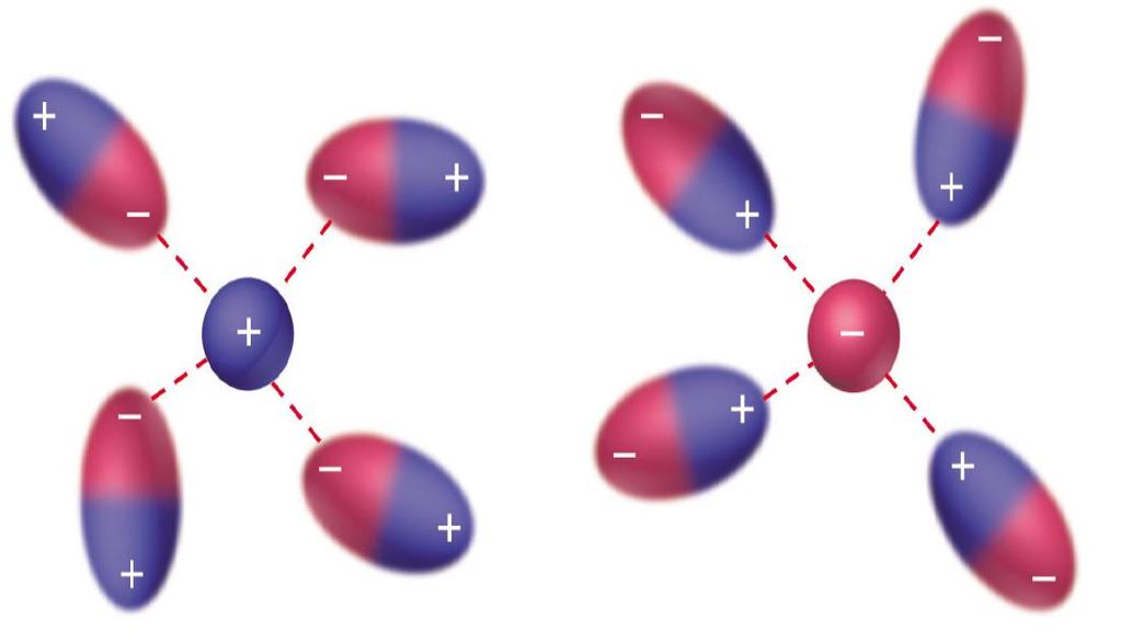 I. Forças íon-dipolo A interação entre um íon e um dipolo