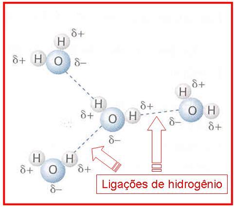 Ligações de hidrogênio: comportamento da água Trata-se de uma anomalia apresentada pela água, a qual, pelas previsões, deveria ser gasosa em