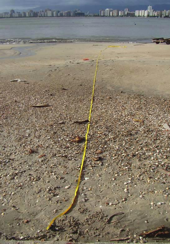 É possível observar também os efeitos da ressaca ocorrida em abril, durante os trabalhos de campo, que reduziram bruscamente a largura da praia em todo esse segmento praial, com valores em geral bem