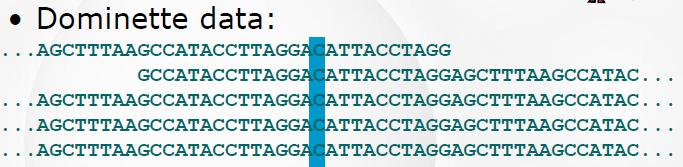 Descoberta dos SNPs http://www.ncbi.nlm.nih.