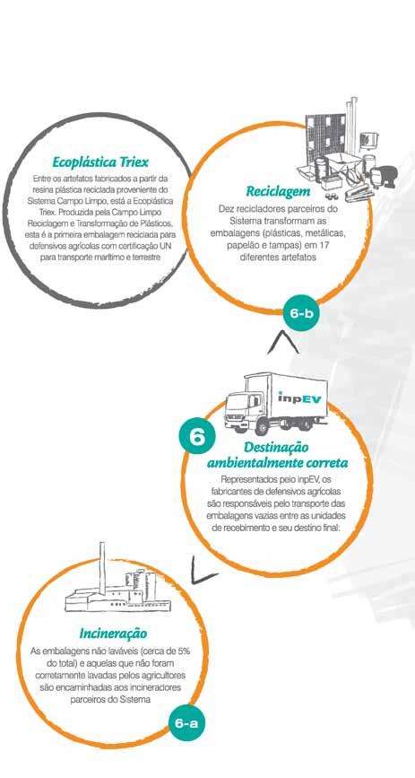 22 Estratégias e perspectivas Sistema Campo Limpo Desde 2002, quando iniciou as operações, o SCL já destinou para reciclagem ou incineração 280.