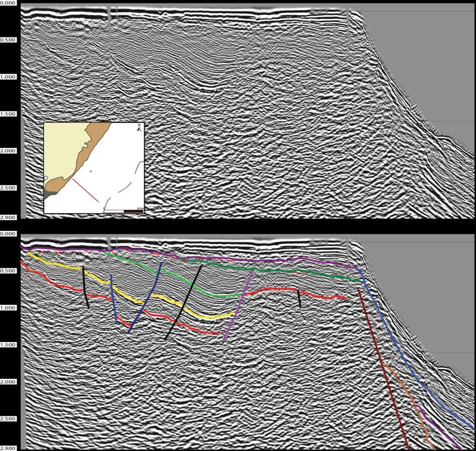 Figure 9: Dip seismic section of platform region.