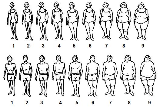 Figura 1. Conjunto de silhuetas proposto por Stunkard et al.