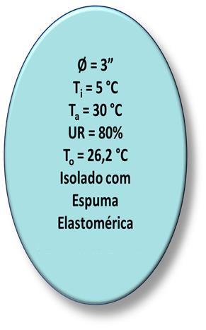 Sem Revestimento Metálico (Ԑ = 0,93) Para T se = T o = 26,2 ºC Espessura