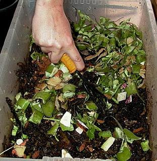 A TERRA TAMBÉM PRECISA DE ALIMENTO!