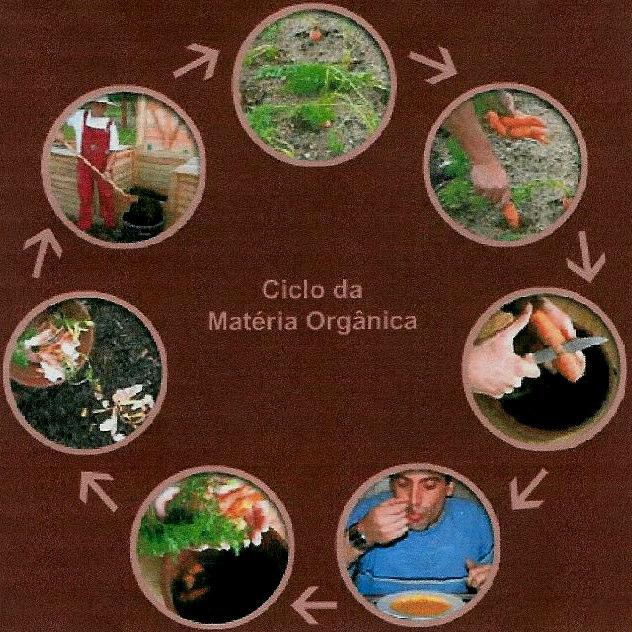 MATERIAIS ORGÂNICOS Resíduos orgânicos restos provenientes quer da cozinha como cascas de legumes e de fruta e sacos de chá, quer do jardim como aparas das relvas, folhas secas ou ramos das podas das