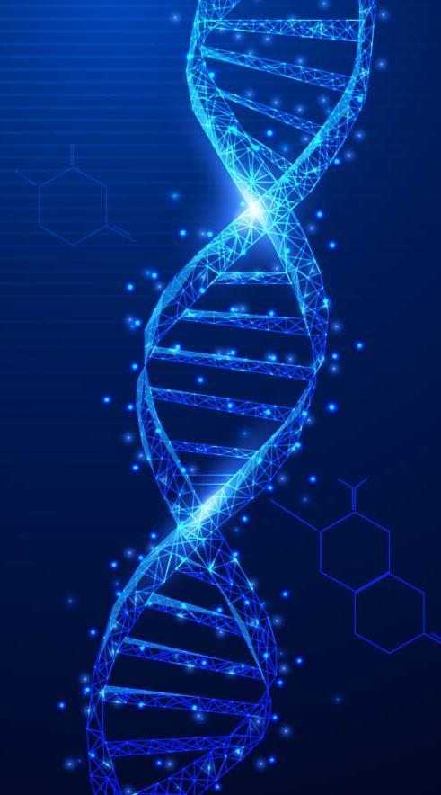 FILOGENIA MOLECULAR Sequenciamento: proteico e genômico