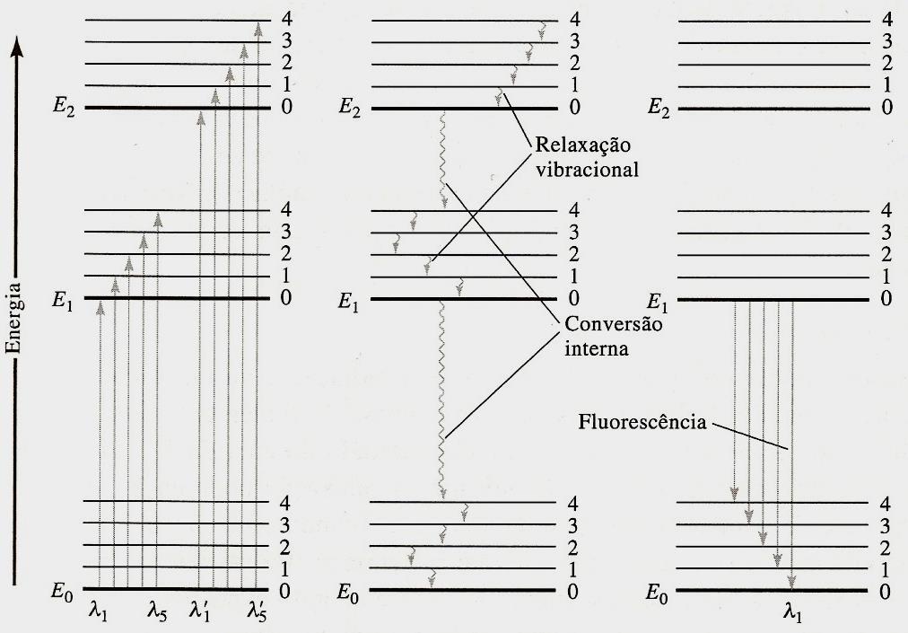 Diagrama de níveis de energia mostrando alguns processos que ocorrem durante: