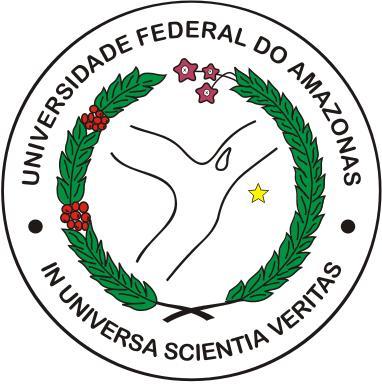 Universidade Federal do Amazonas Instituto de Ciências Exatas Departamento de Ciência da Computação Programa de Pós-Graduação em