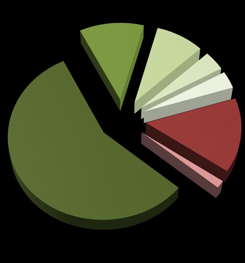 9,9 6,9% 3,6 2,5% 30 14,5% 2,0 1,4% 88,5 61,3% Hidrelétrica Biomassa