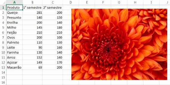 Gráficos, imagens e minigráficos 7 4. Localize a imagem a ser adicionada na pasta de trabalho; 5. Clique em Inserir.