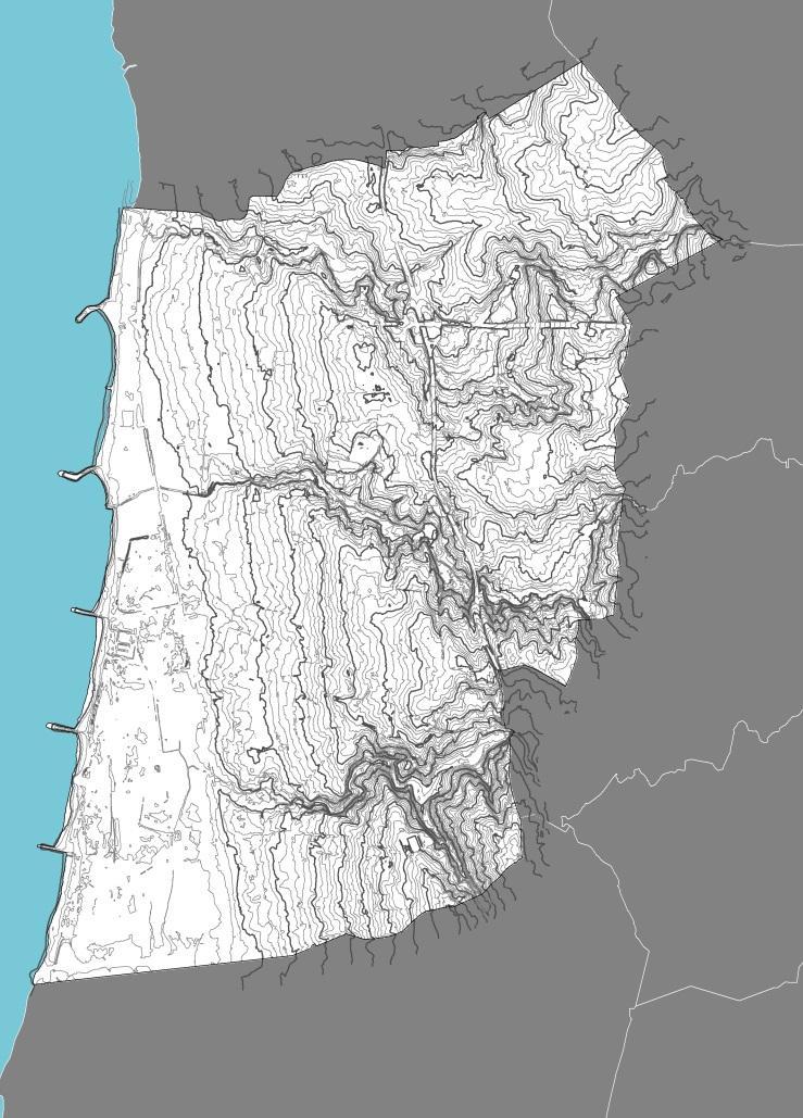 Altimetria Fig. 4.2.3 Carta Altimétrica Da interpretação cartográfica verifica-se que o valor das cotas no concelho de Espinho varia entre os 0m (nível do mar) e os 104 metros de altitude.
