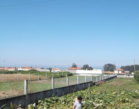Sobre esta plataforma claramente virada a Oeste, surgem os melhores solos do concelho, a classe de solo mais fértil em Portugal que possui uma capacidade de uso
