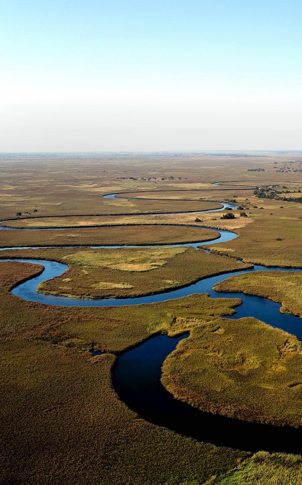 assim como uma enorme diversidade em variedade de aves. Alojamento. 8º DIA PARQUE NACIONAL DE CHOBE / DELTA DO OKAVANGO Ao amanhecer,safari em jeep 4 4 no Parque Chobe.