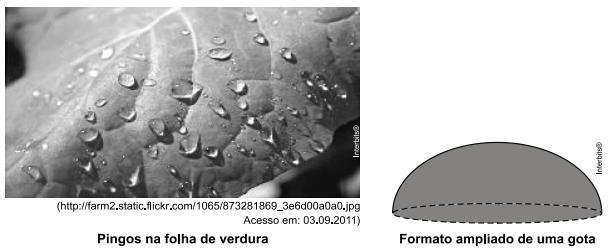 2. Nas plantações de verduras, em momentos de grande insolação, não é conveniente molhar as folhas, Observando as figuras, conclui- ocorre, porque as gotas depositadas sobre as folhas planas assumem