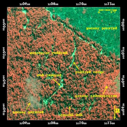 Detecção dos impactos da exploração por satélite Ikonos Paragominas, PA Ambiente complexo: Floresta Clareiras