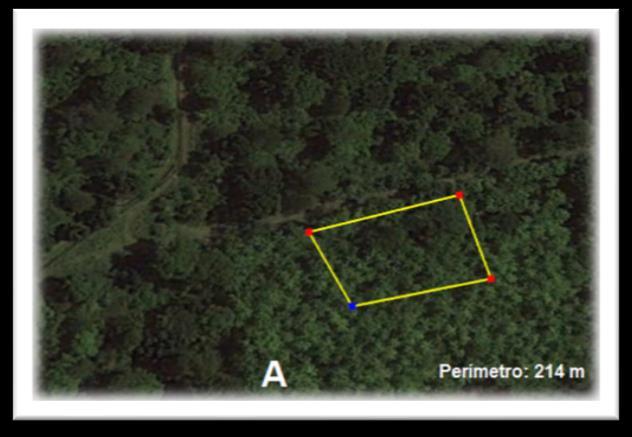 Diversidade da entomofauna em plantio de Cacau 3 Figura 1. (A) Localização da área de estudo (Fonte: Google Earth Pro). (B) Lateral da área do plantio de cacau com cultivo consorciado.