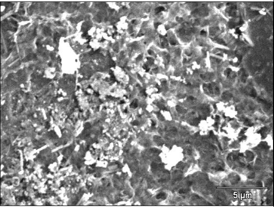 Imagem de MEV antes de ser exposta à solução de NaCl 0,1M e ph 5 (a) e