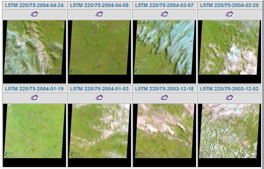 Satétile Landsat - Órbita 220 Ponto 75 Safra