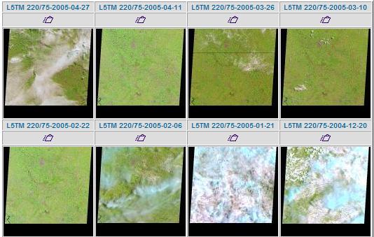 Satétile Landsat - Órbita 220 Ponto 75 Safra