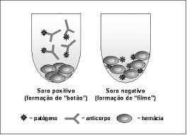 Diagnóstico Testes