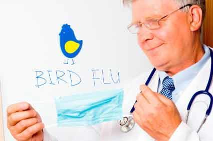 Importância Nome popular: Gripe Aviária Causada por uma grande variedade de vírus da Influenza (AIV, avian influenza virus) Infecção em aves e mamíferos