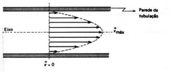 07/04/06 Análise: v P D g v = = Onde: gp D Perfil de velocidade de escoamento (laminar): P D é a pressão dinâmica. é o peso específico do fluído. g é a aceleração da gravidade.
