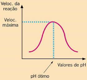 ph A escala de ph vai de 0 a 14 e mede a concentração relativa de íons hidrogênio(h + ) em um determinado meio.
